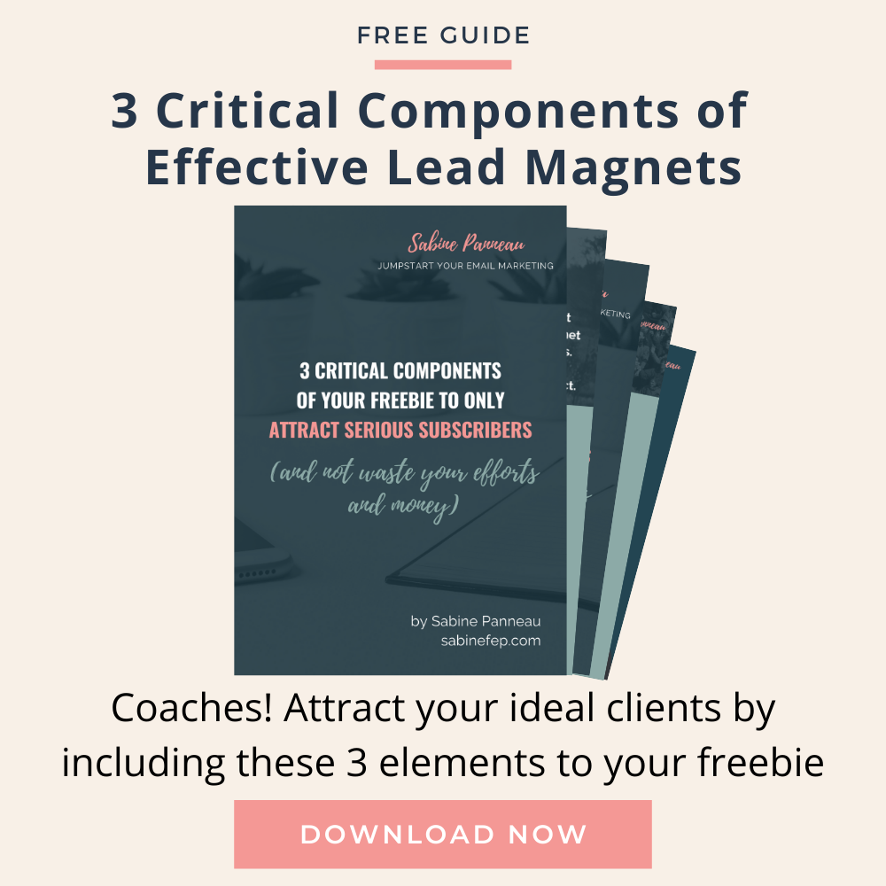 3 critical components of your freebie to attract serious subscribers by Sabine Panneau 3 critical components of your freebie to attract serious subscribers by Sabine Panneau