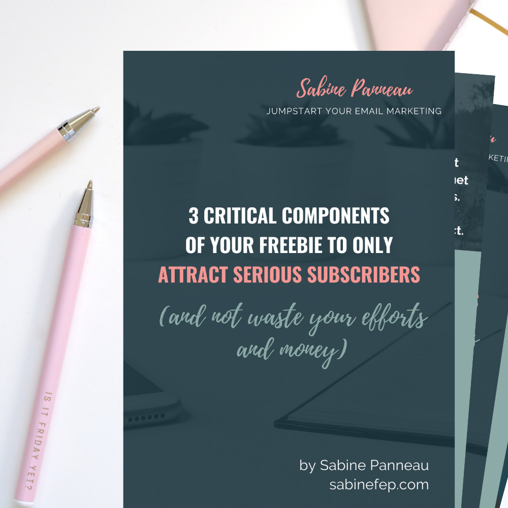 3 critical components of your freebie to attract serious subscribers by Sabine Panneau