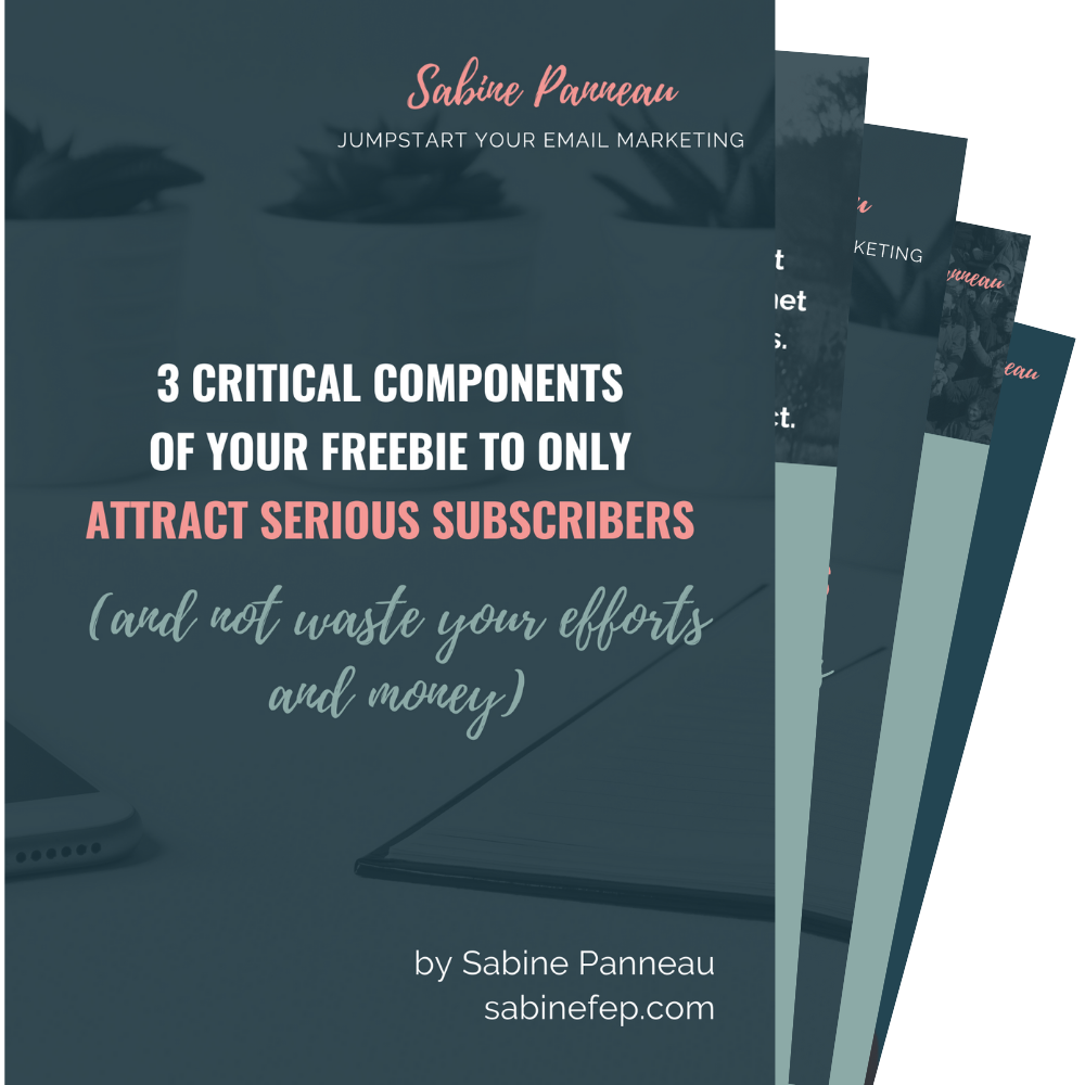 3 critical components of your freebie to attract serious subscribers by Sabine Panneau