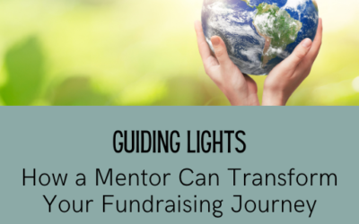 Guiding Lights: How a Mentor Can Transform Your Fundraising Journey