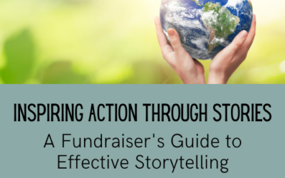 Inspiring Action Through Stories: A Fundraiser’s Guide to Effective Storytelling