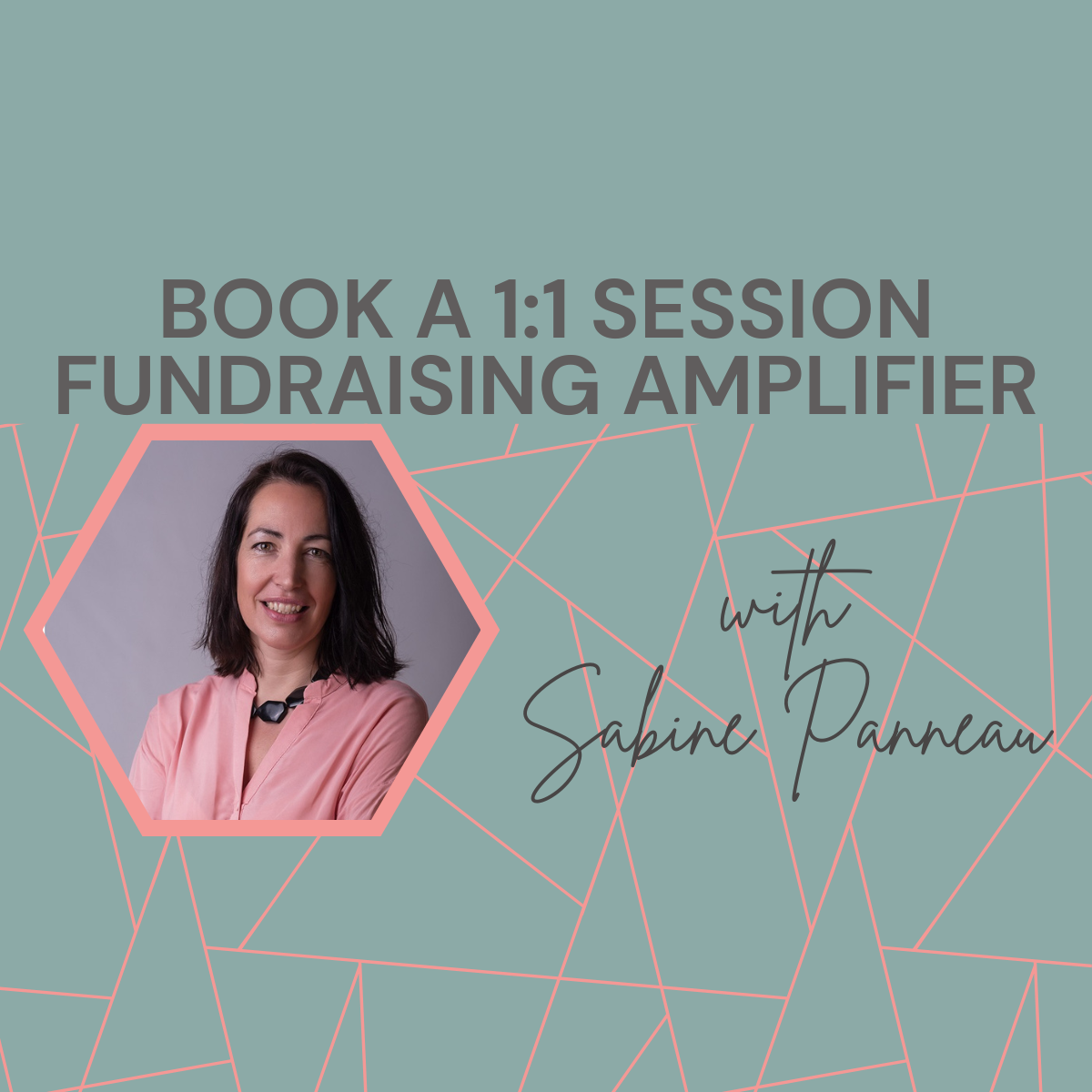 Fundraising Amplifier - Make LinkedIn Work for you